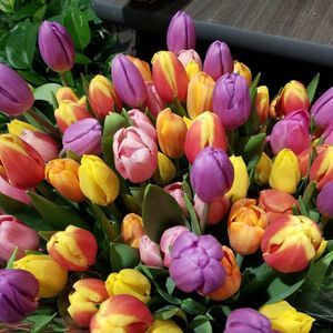 Meet your Posher, Badea